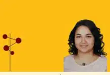blog yazarı