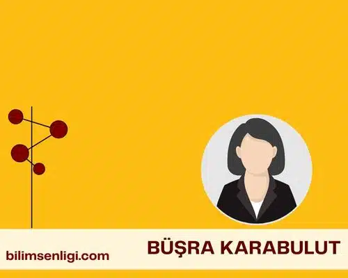blog yazarı