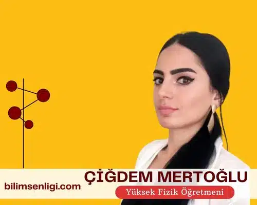 blog yazarı
