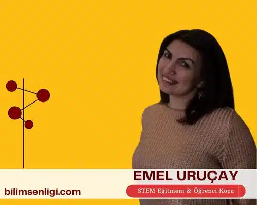 blog yazarı