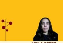blog yazarı