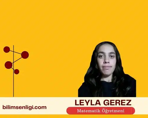 blog yazarı