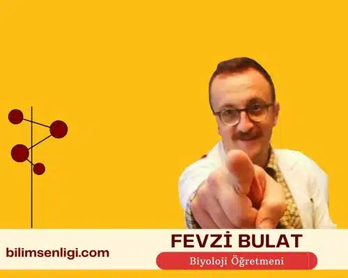 Blog yazarı