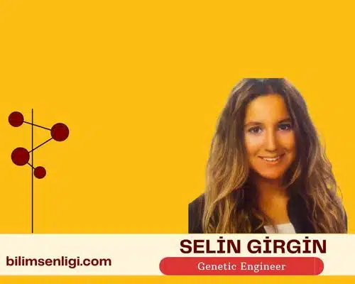blog yazarı