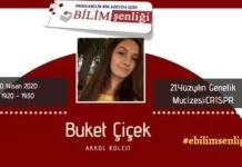 Buket Çiçek