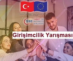 Girişimcilik