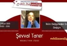 Şevval Taner