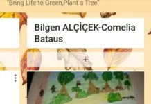 Doğayı Yeşillendir