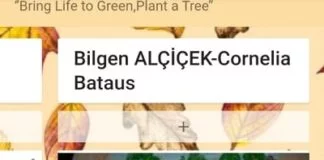 Doğayı Yeşillendir