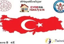 Sağlıklı Beslen