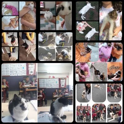 PhotoCollage_1590867869388 proje