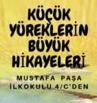 Yazar Olacak Çocuk