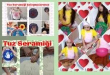 eTwinning projesi