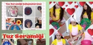 eTwinning projesi