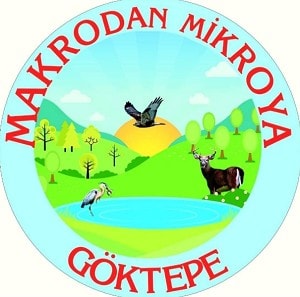 Makrodan Mikroya Göktepe