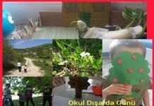 Okul