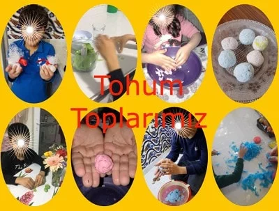 tohum-toplari Benim Atölyem