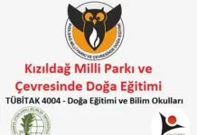 TÜBİTAK 4004