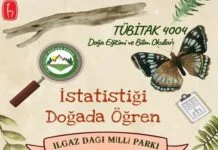 TÜBİTAK 4004