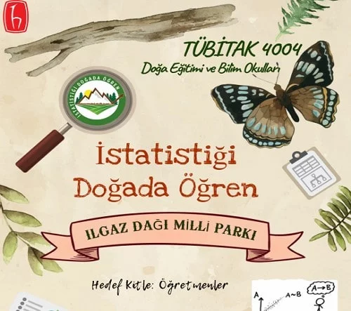 TÜBİTAK 4004