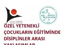 TÜBİTAK 4004
