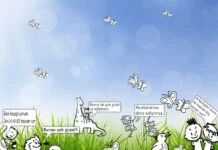 proje çalışmamız