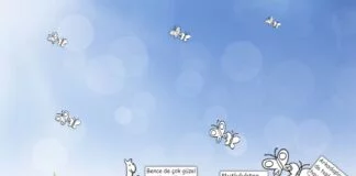 proje çalışmamız