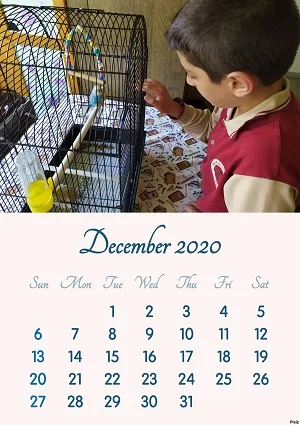 pixiz-12-10-2019-20-54-05