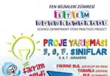 STEM