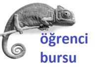 burs