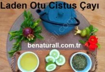 Cistus Bağışıklık Çayı
