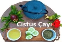 Cistus incanus tea
