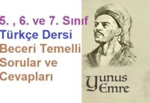 Türkçe Beceri Temelli Sorular