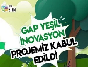 İnovasyon