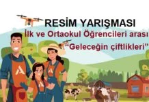 Resim Yarışması
