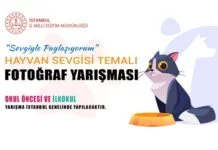Fotoğraf Yarışması