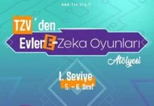Zeka Oyunları