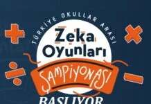Zeka Oyunları