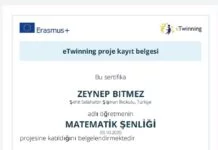 Matematik Şenliği