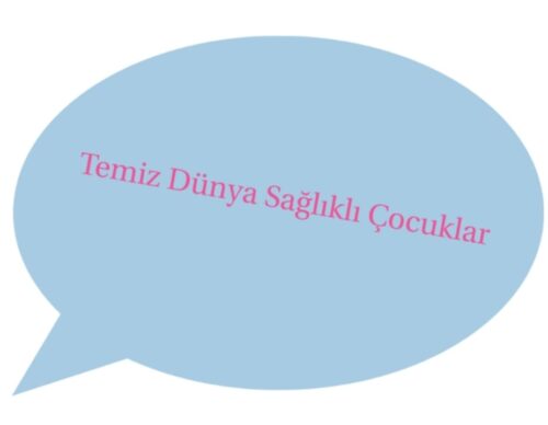 E twinning projesi
