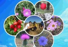 Doğa Kaşifi projesi