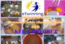 TUTUM YATIRIM VE TÜRK MALLARI HAFTASI