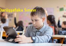 Darüşşafaka Sınavı