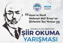 Şiirler