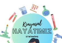 eTwinning Projesi