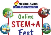 stem