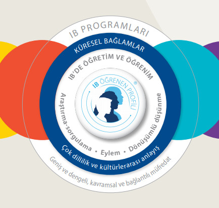 IB eğitimi