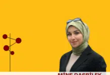 blog yazarı