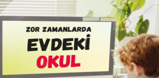 Nitelikli İnsan