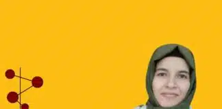 blog yazarı